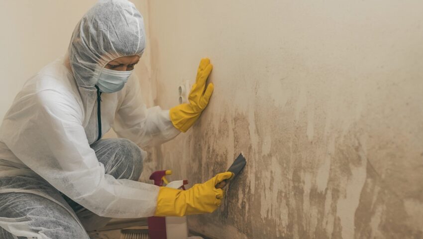 Mold Cleanup