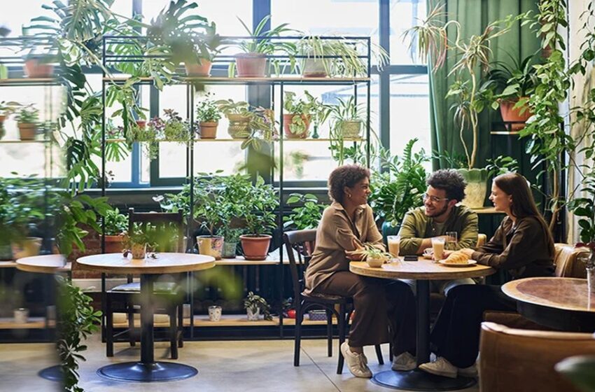  Top Reasons to Visit a Restaurant With Live Entertainment on Norfolk St