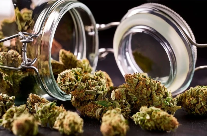  How to read a THCA flower lab report?