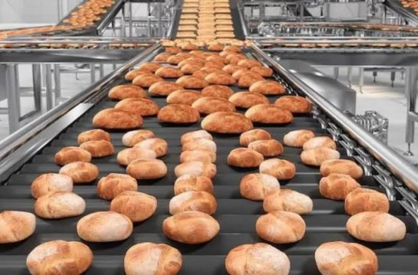  How Innovative Design Shapes Modern Food Processing Facilities
